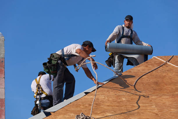 Best Roof Repair Services  in Nevada City, CA