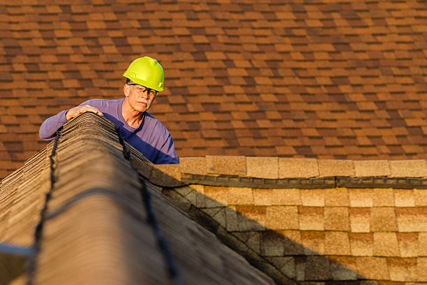 Best Roof Gutter Cleaning  in Nevada City, CA